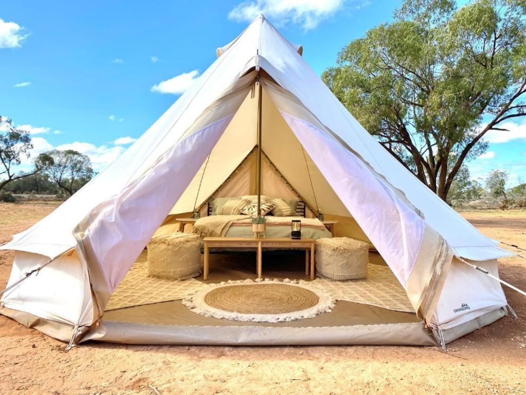 Mungo Lodge المظهر الخارجي الصورة