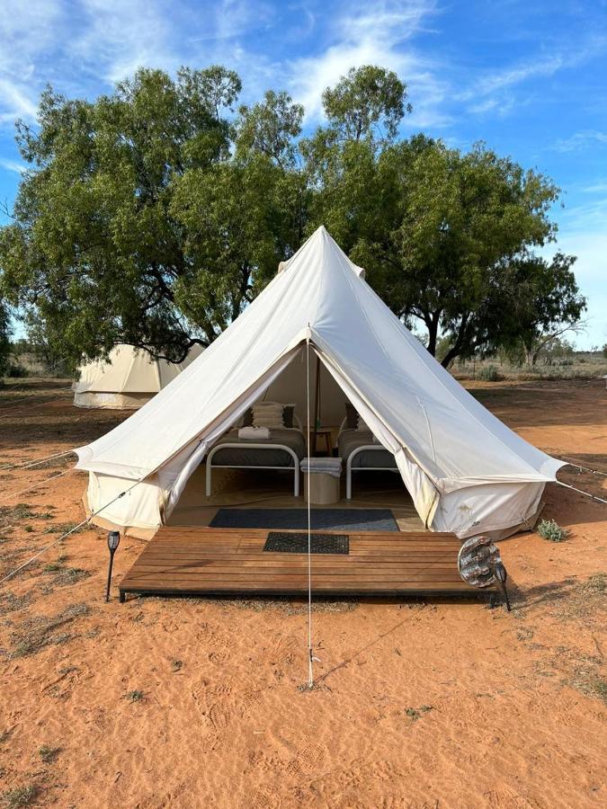Mungo Lodge المظهر الخارجي الصورة