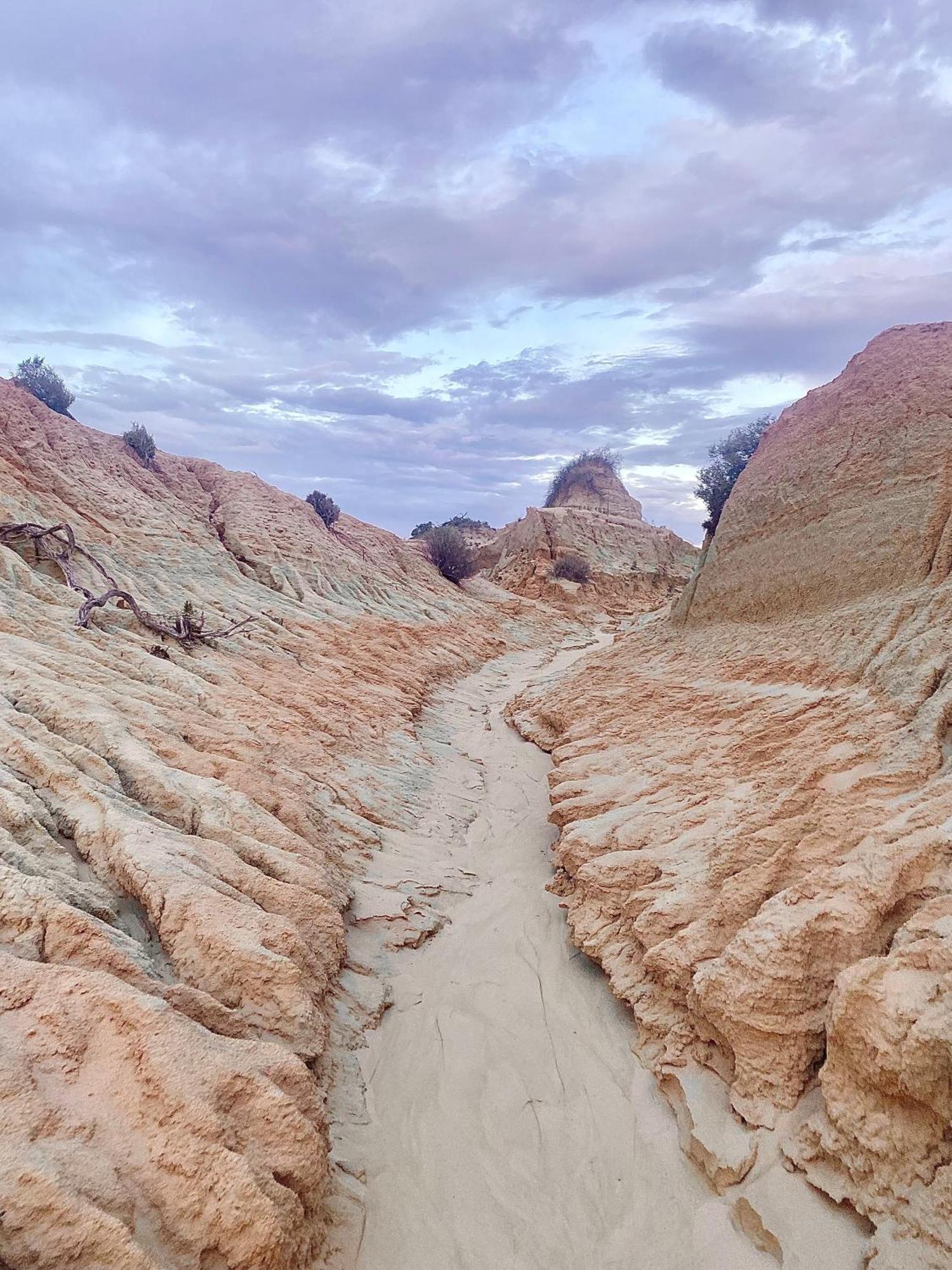 Mungo Lodge المظهر الخارجي الصورة