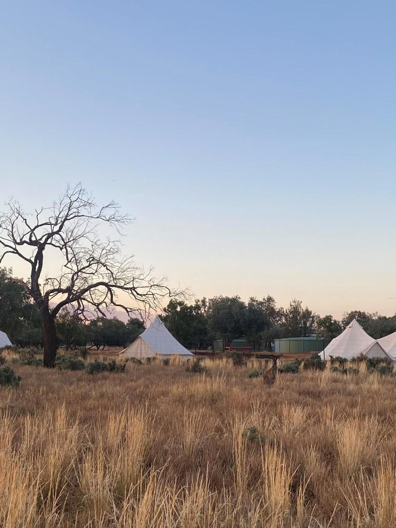 Mungo Lodge المظهر الخارجي الصورة