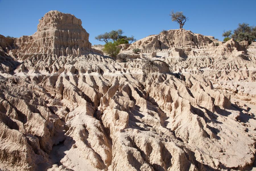 Mungo Lodge المظهر الخارجي الصورة